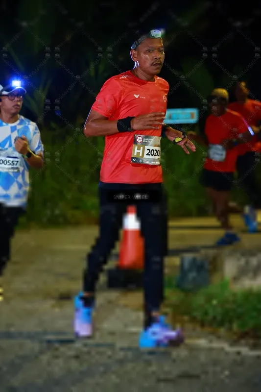 Photo ID 8407341