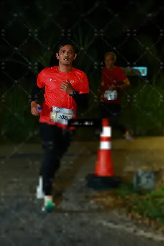 Photo ID 8408064
