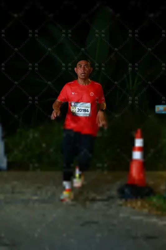Photo ID 8408123