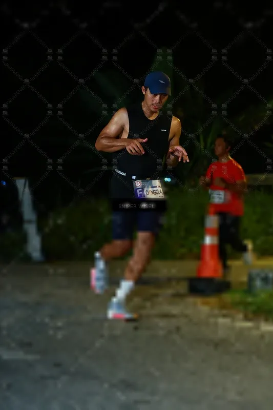 Photo ID 8408290