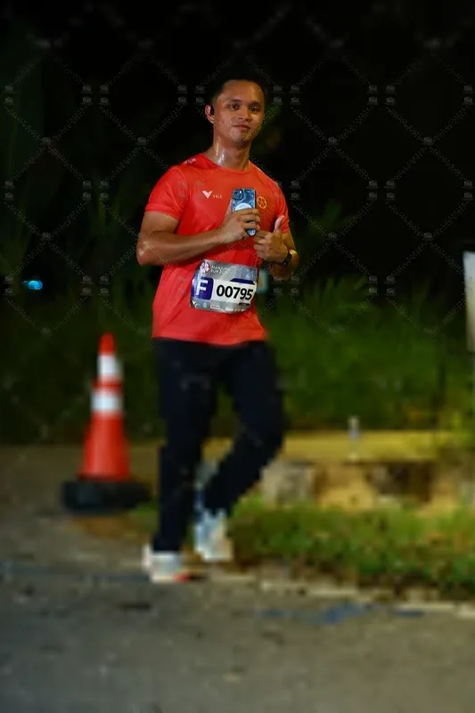 Photo ID 8408295