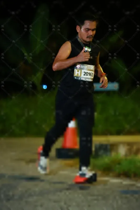 Photo ID 8408381