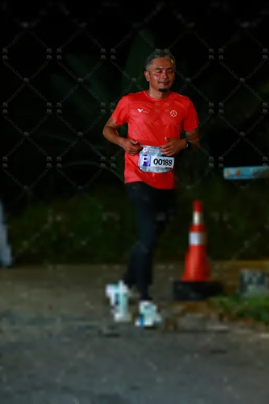 Photo ID 8408434
