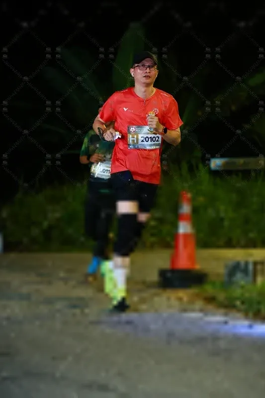 Photo ID 8408546