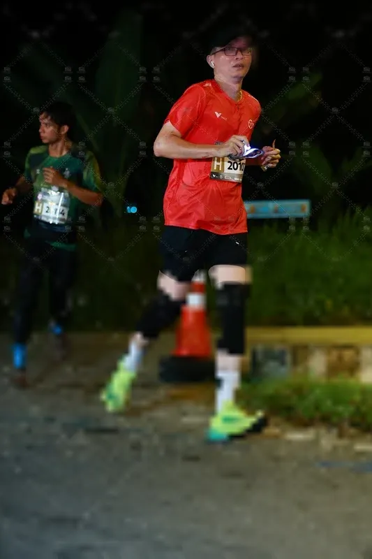 Photo ID 8408556