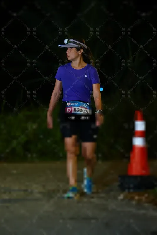 Photo ID 8408582