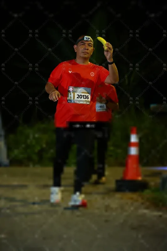 Photo ID 8408609