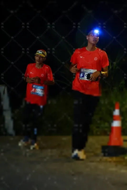 Photo ID 8408729
