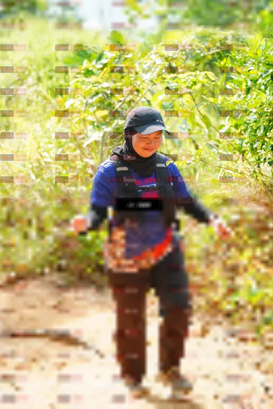 Photo ID 8410032