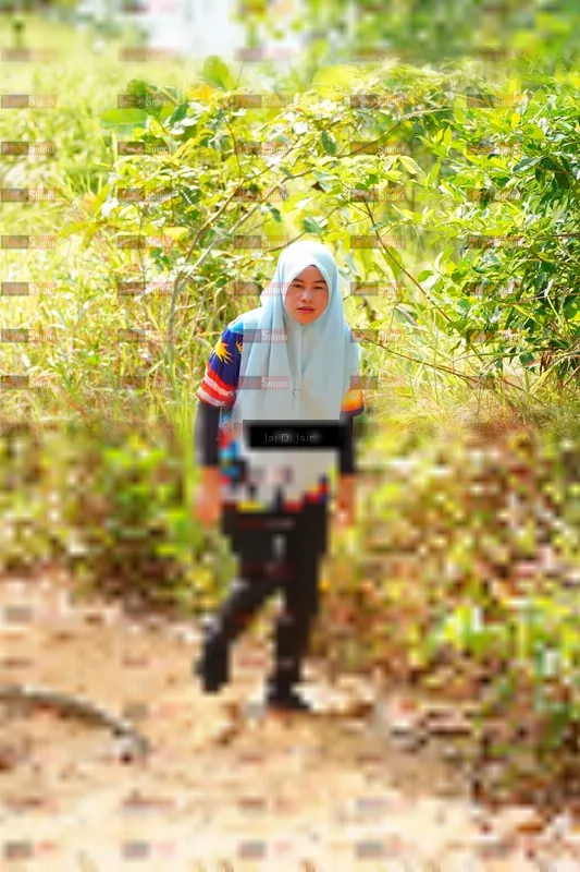 Photo ID 8410174