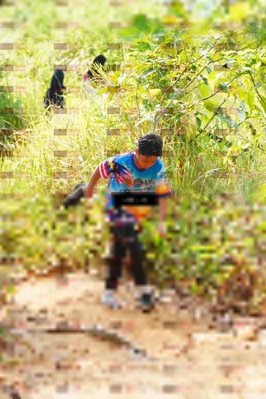 Photo ID 8410243
