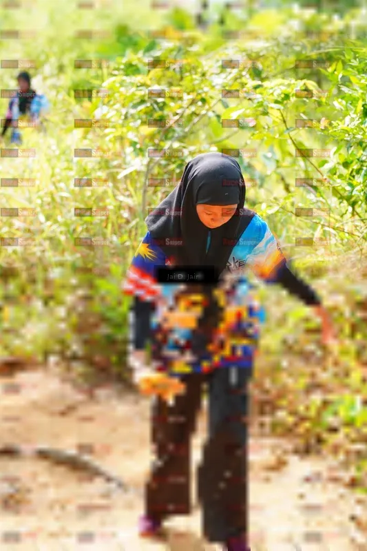 Photo ID 8410778
