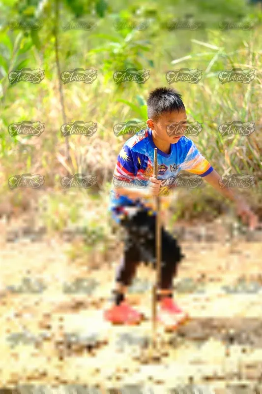 Photo ID 8411076