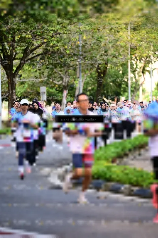 Photo ID 8411124