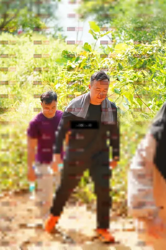 Photo ID 8411351