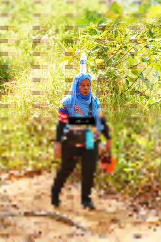 Photo ID 8411487