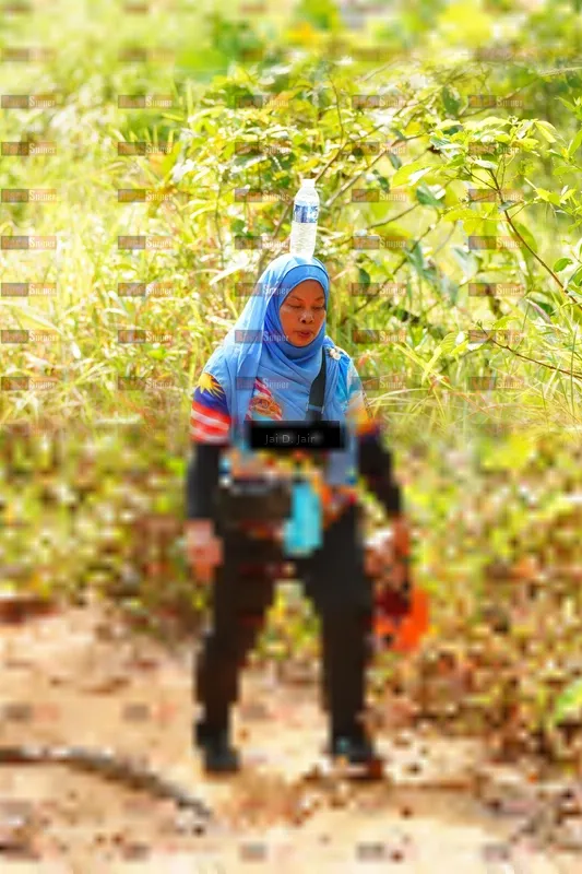 Photo ID 8411498