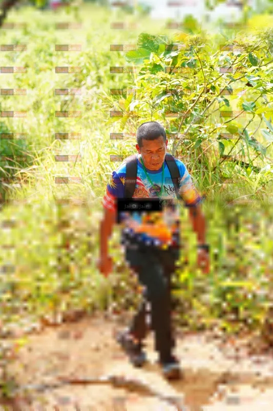 Photo ID 8411541