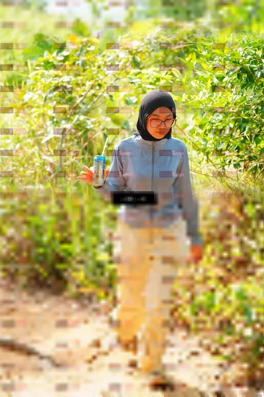 Photo ID 8412031