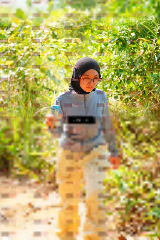 Photo ID 8412037