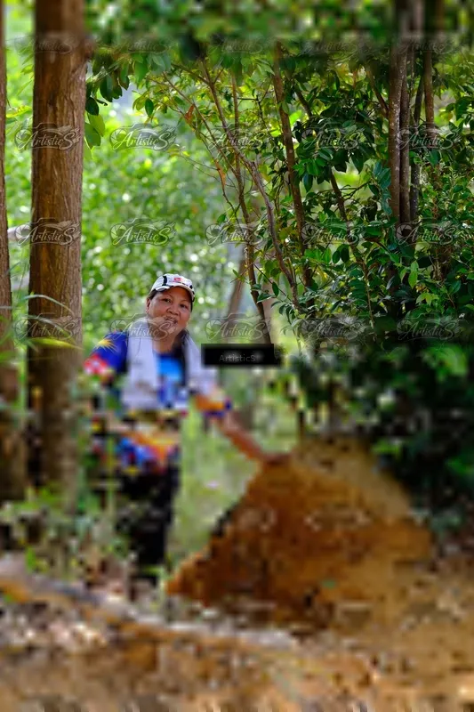 Photo ID 8412124