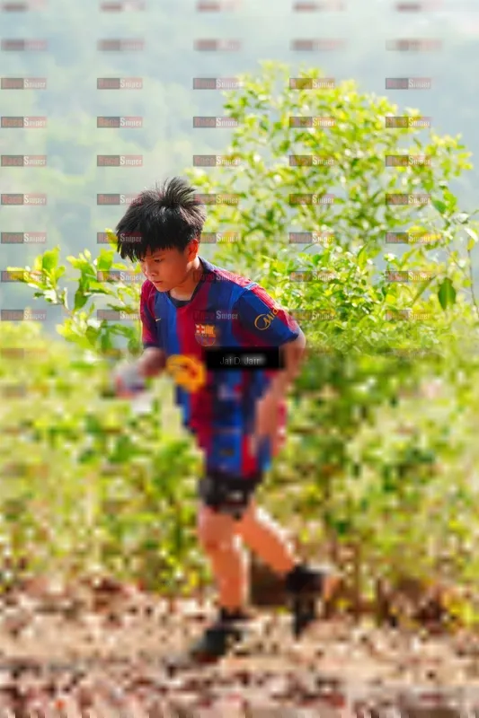 Photo ID 8412520