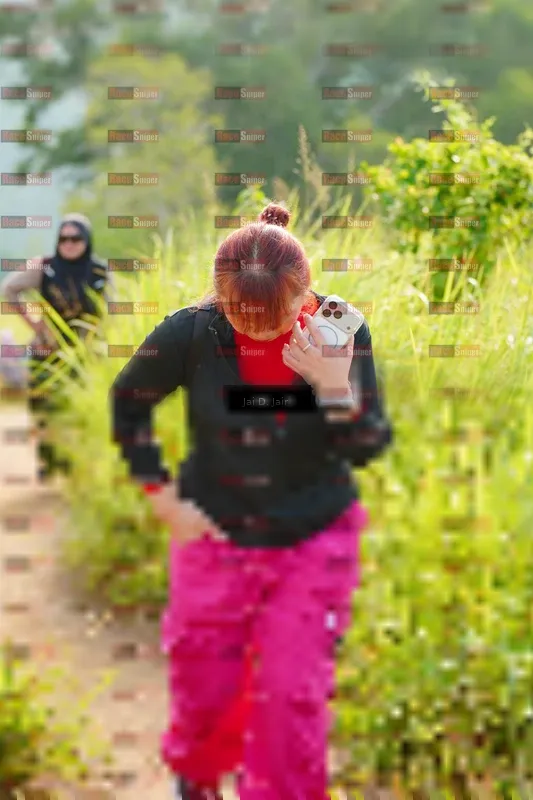 Photo ID 8412700