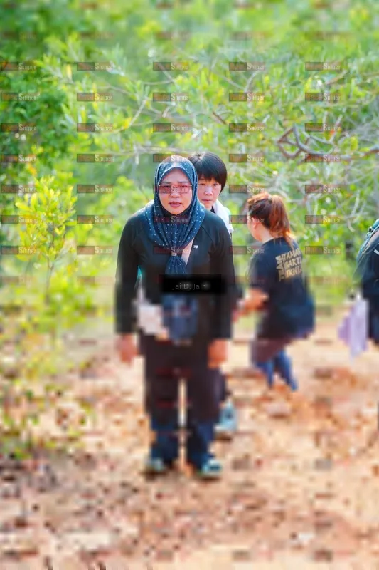 Photo ID 8413010