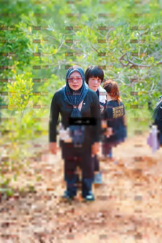 Photo ID 8413013