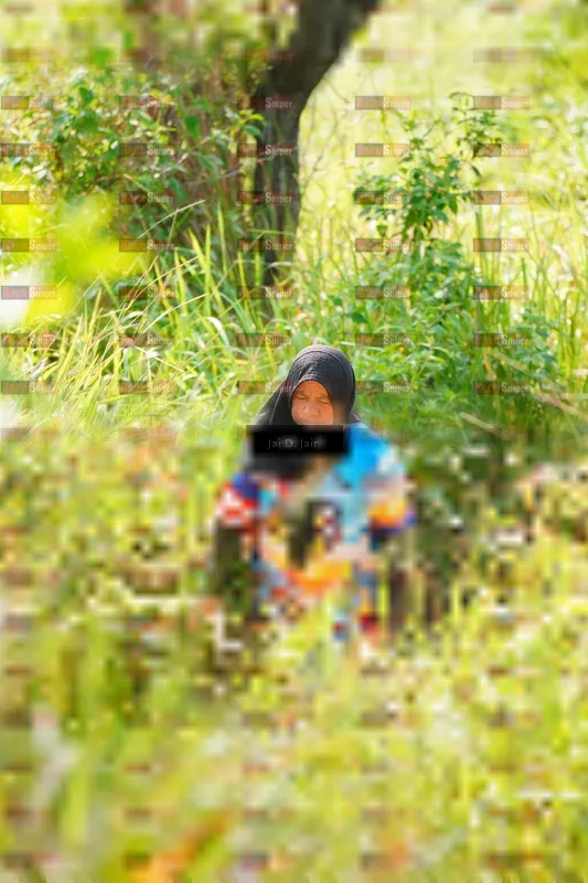 Photo ID 8413333