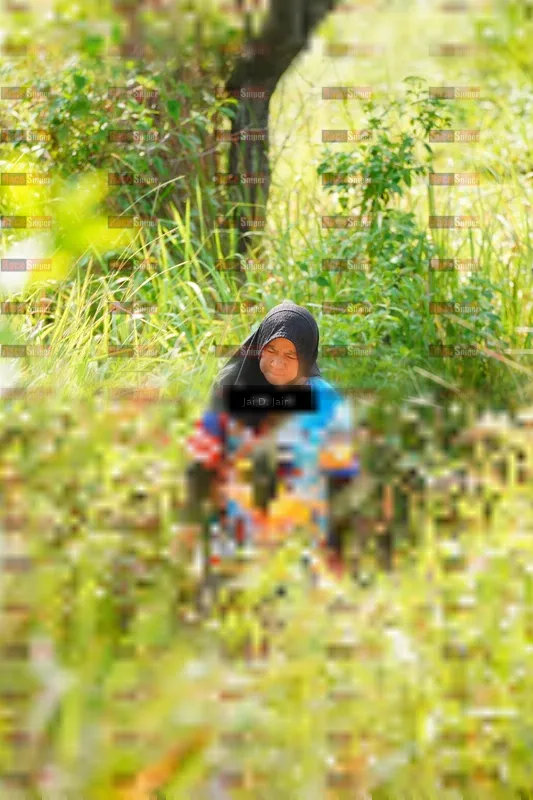 Photo ID 8413337