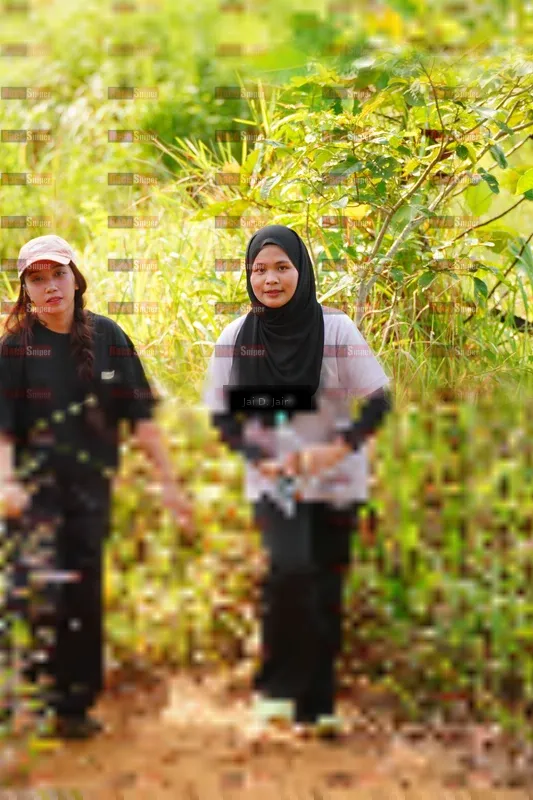 Photo ID 8413454