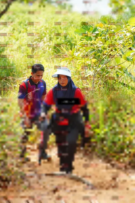 Photo ID 8413542