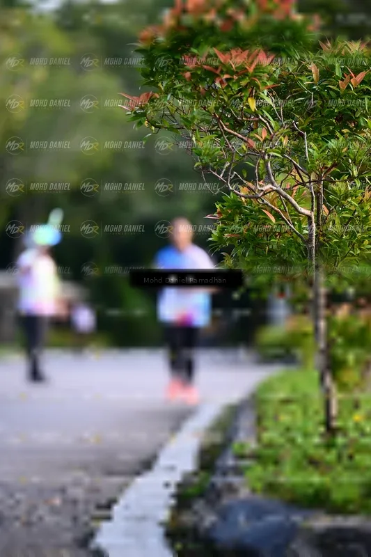 Photo ID 8413620