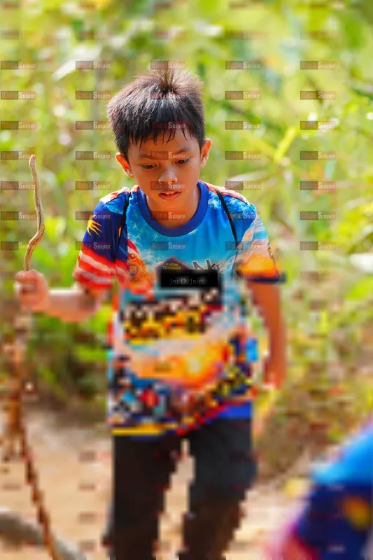 Photo ID 8413783