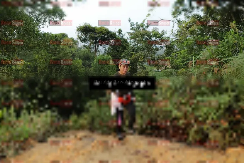 Photo ID 8417305