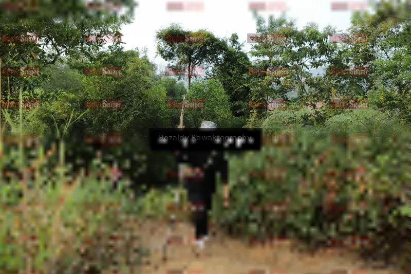 Photo ID 8417532