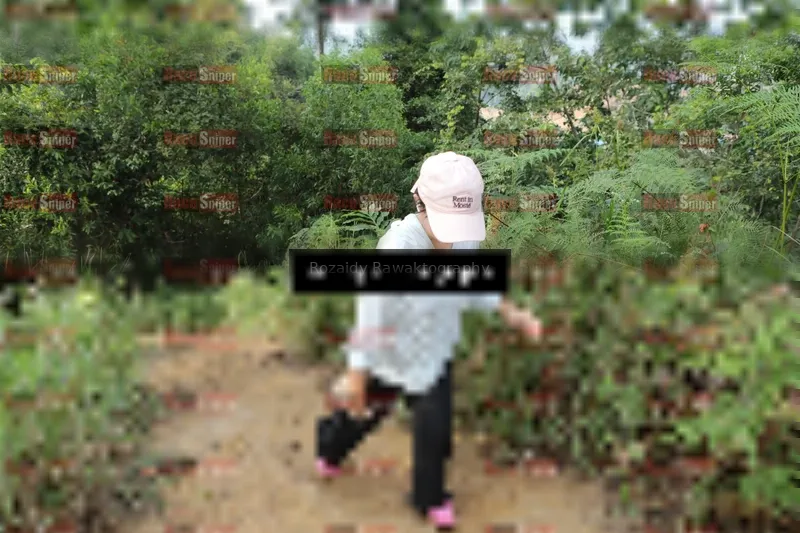 Photo ID 8417571