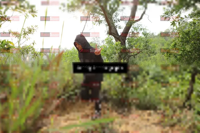 Photo ID 8417582
