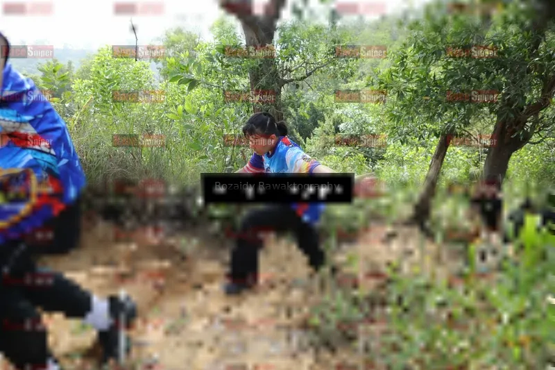 Photo ID 8417607