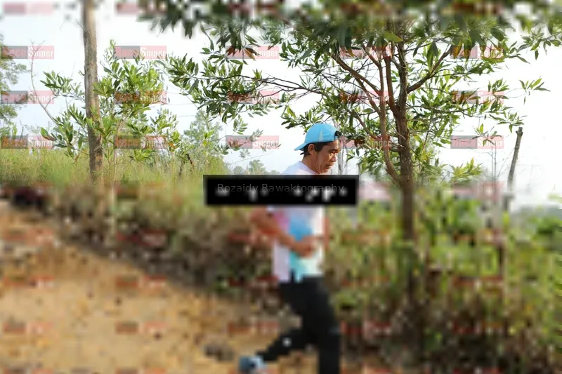 Photo ID 8417715