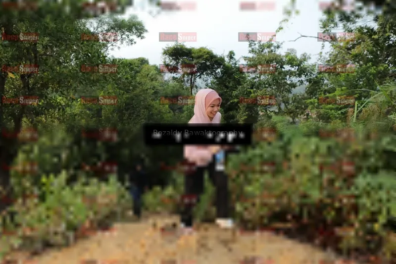 Photo ID 8417813