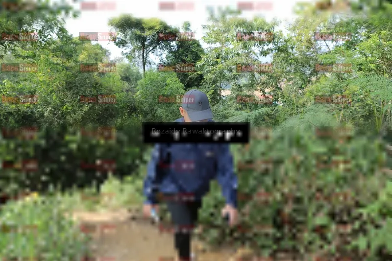 Photo ID 8418225