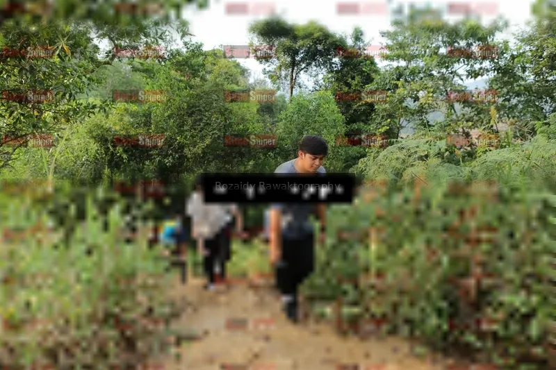 Photo ID 8423142