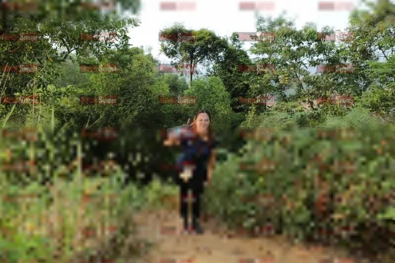 Photo ID 8423157