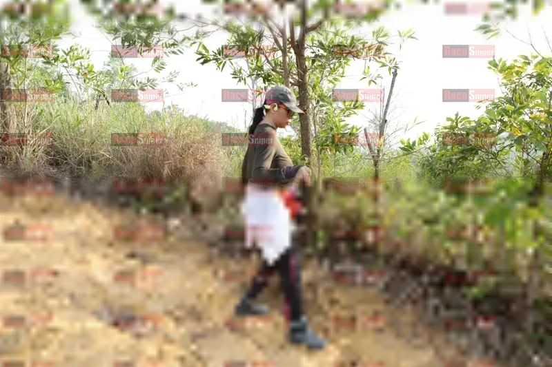 Photo ID 8423181