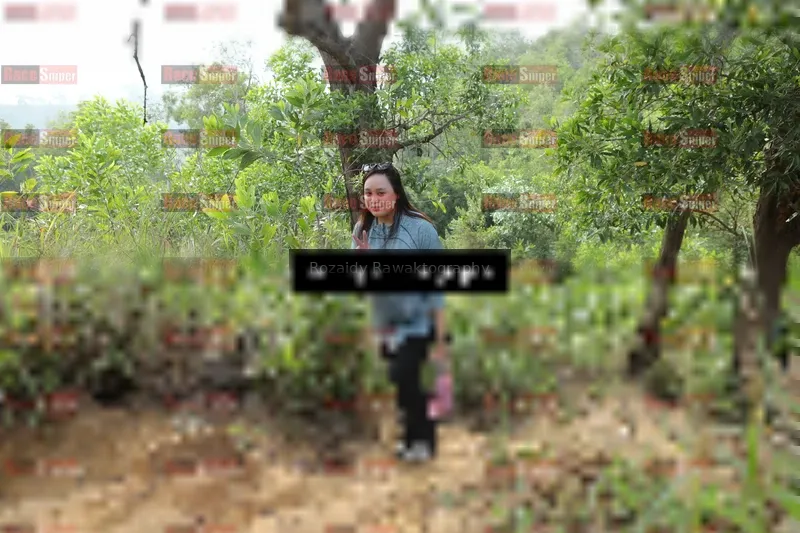 Photo ID 8423198