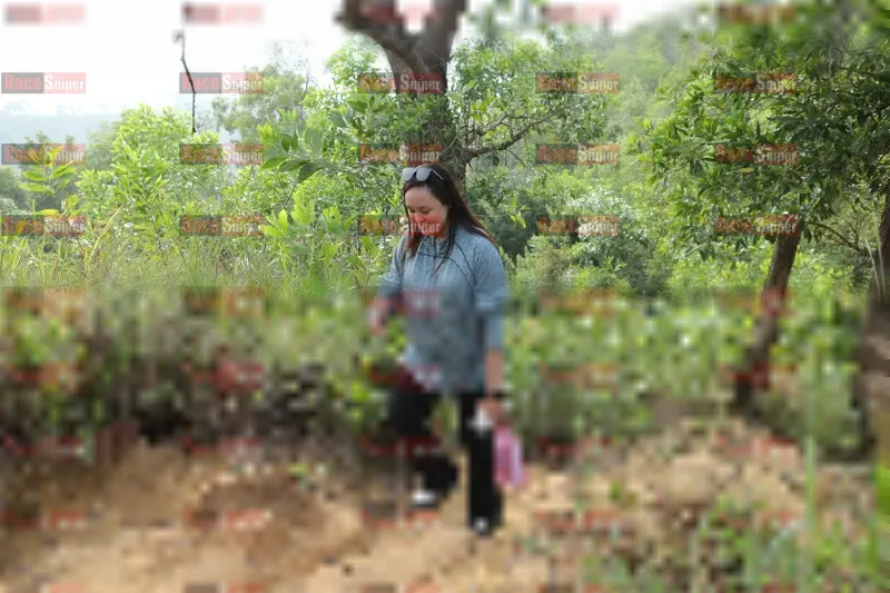 Photo ID 8423200