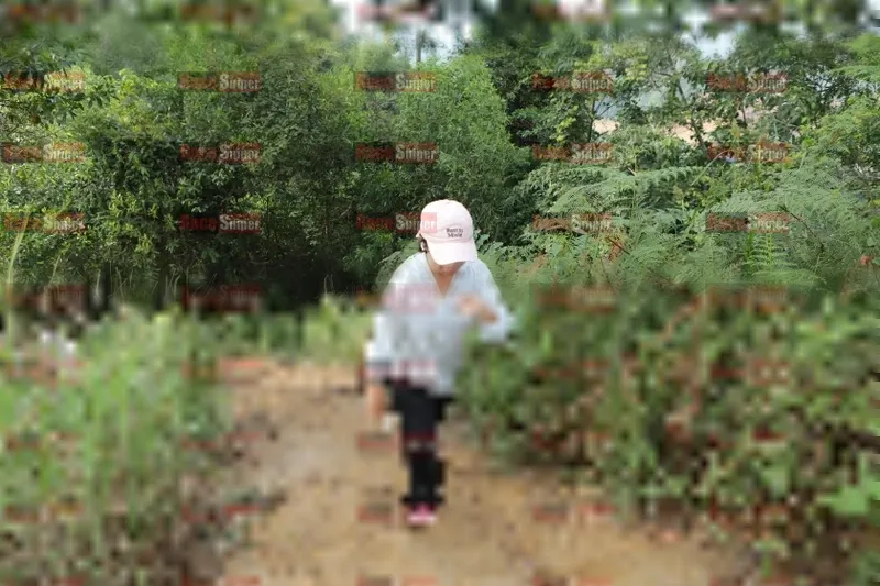 Photo ID 8423213