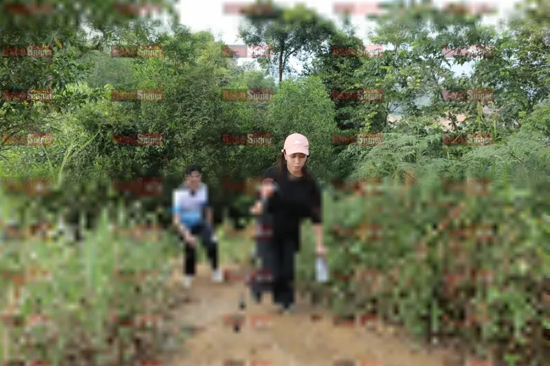 Photo ID 8423258